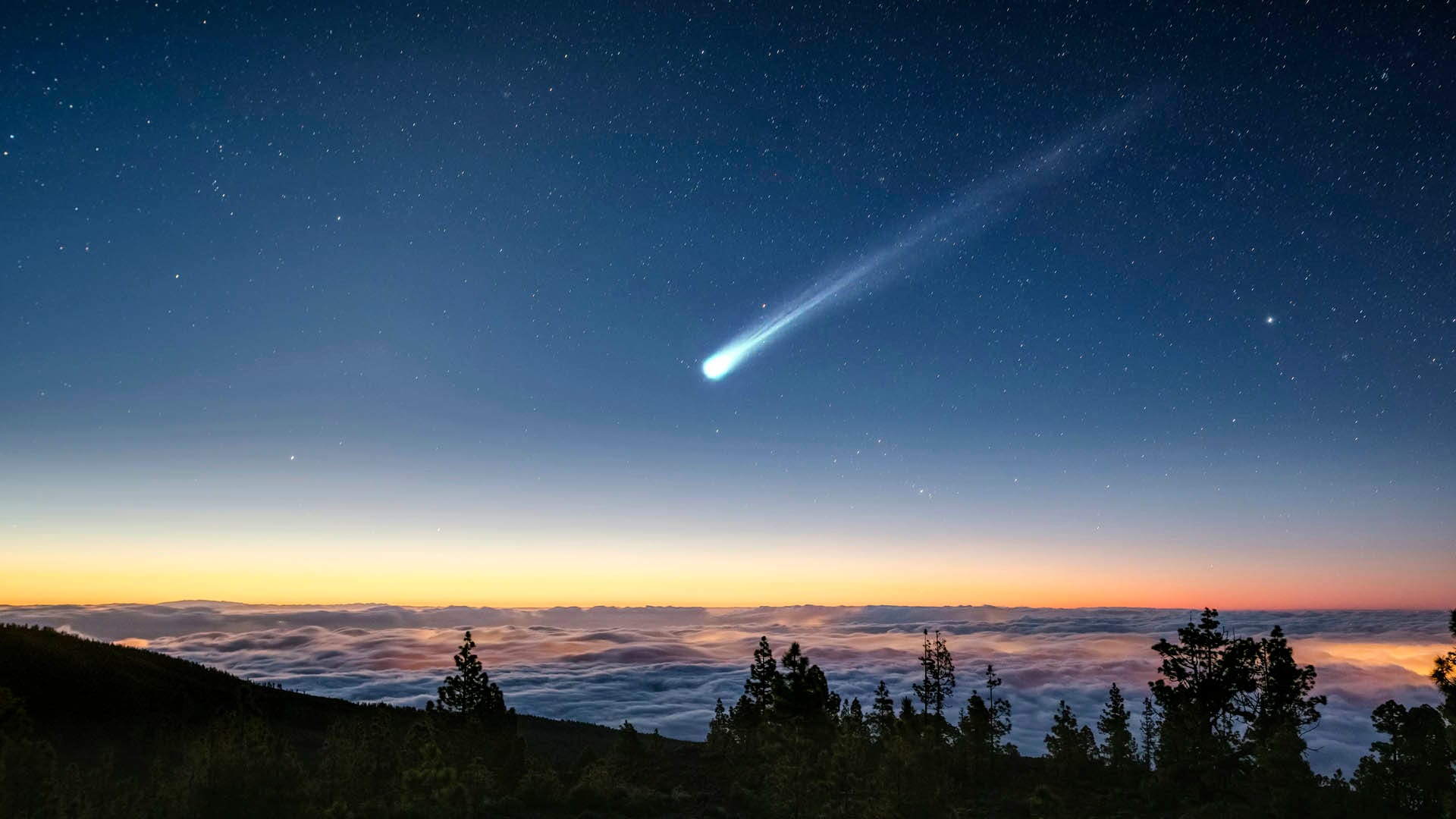 Comets Icy Wanderers from the Outer Solar System