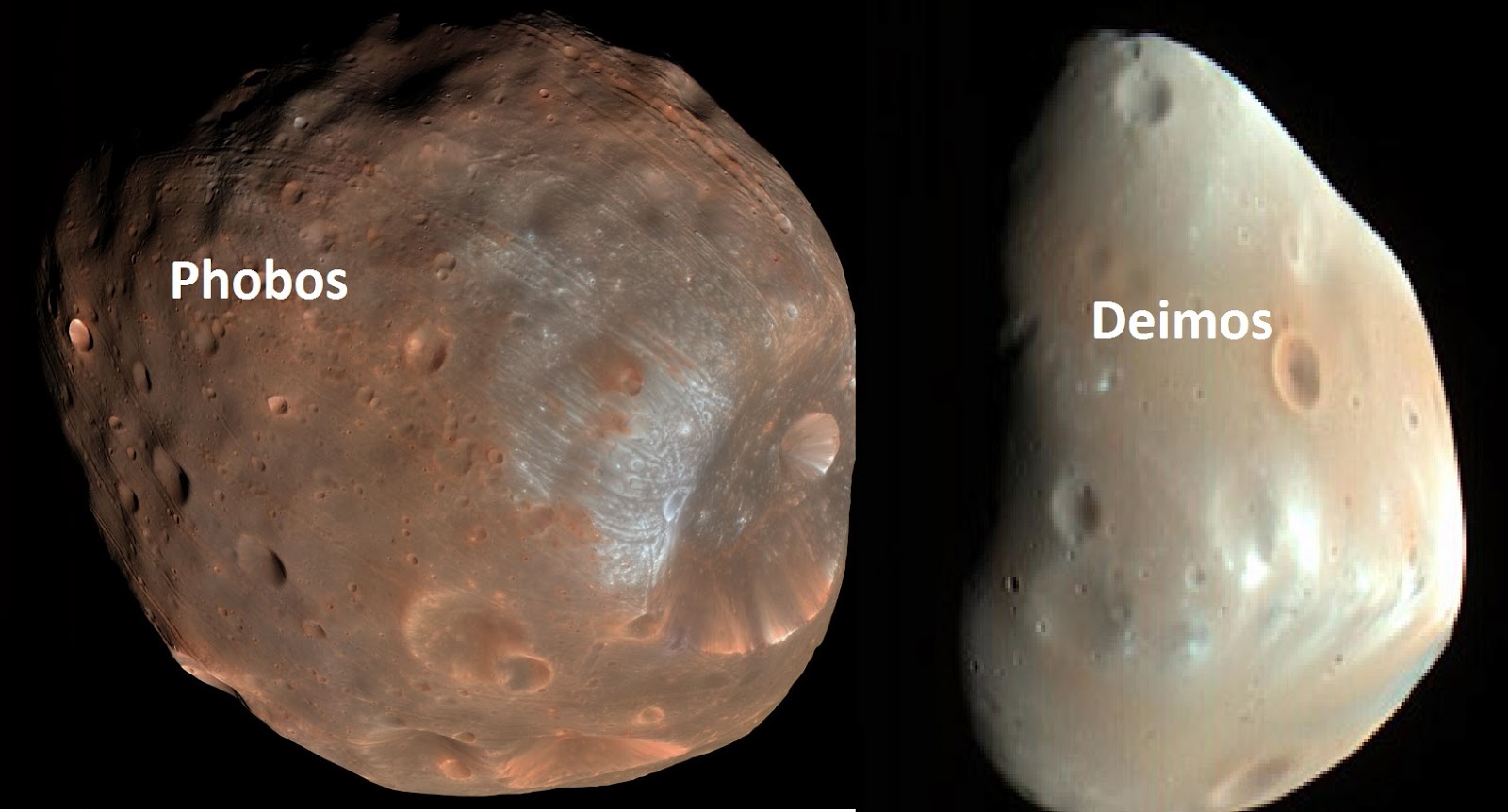 Phobos Mars's Mysterious Moon