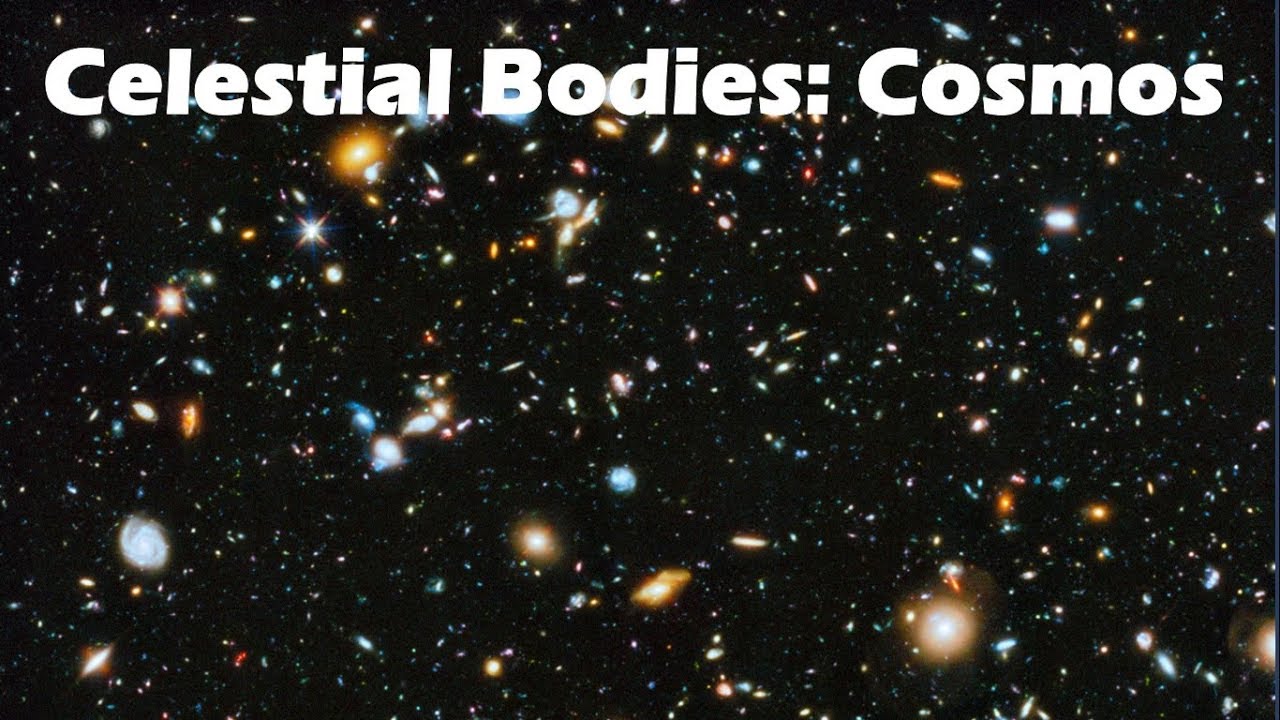 Celestial Bodies Our Cosmic Neighbors