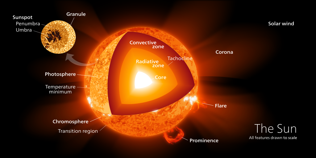 The Photosphere The Sun's Visible Surface